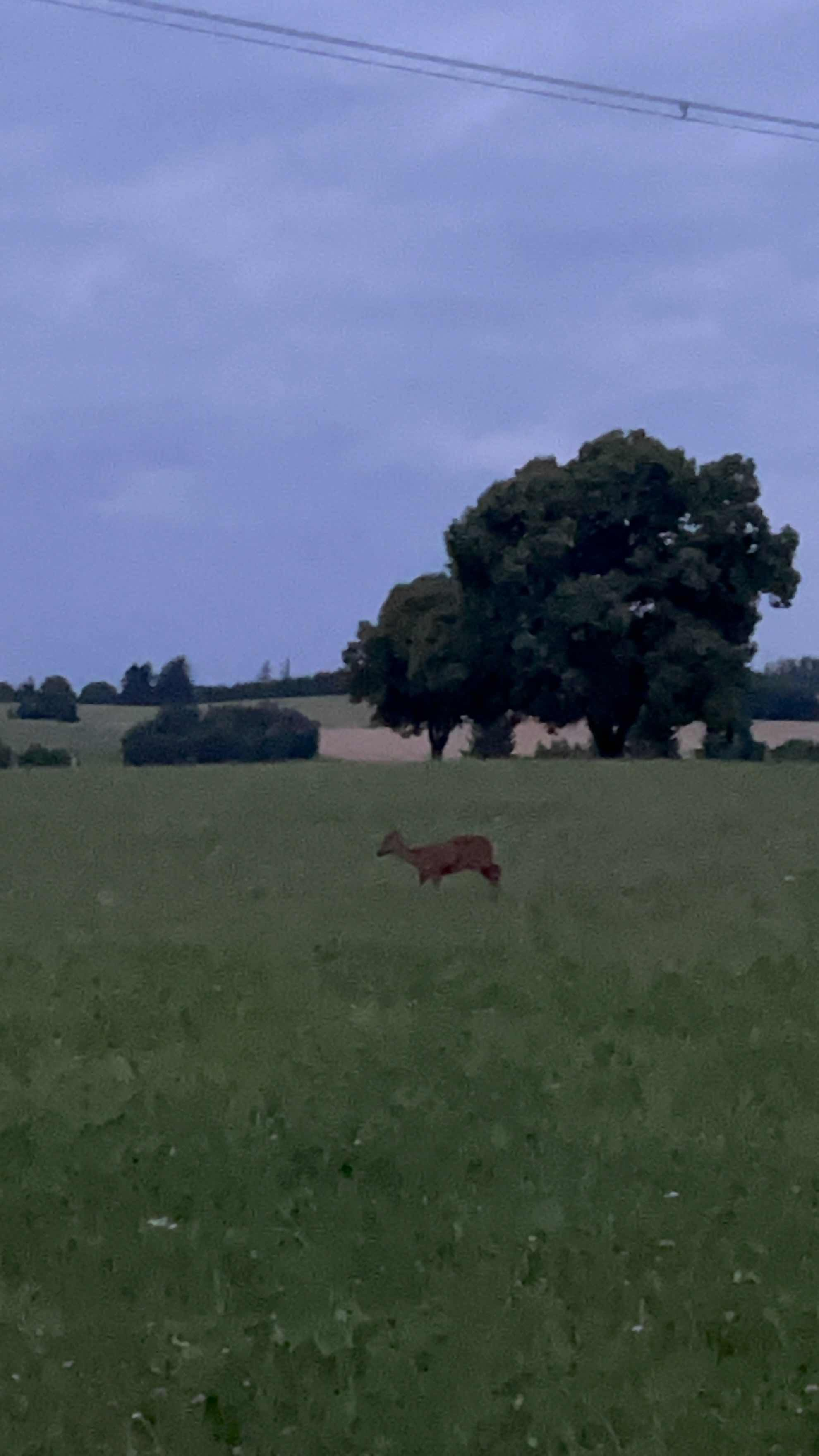 In the Teens (7/14–7/20)